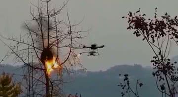 Drone joga fogo em ninho de vespas - Divulgação