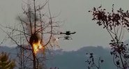 Drone joga fogo em ninho de vespas - Divulgação