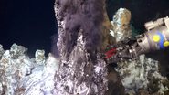 Ecossistema encontrado no oceano Pacífico - Divulgação / Schmidt Ocean Institute