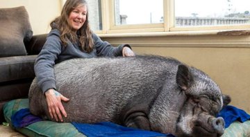 O 'mini porco' com sua dona - Divulgação/Katielee Arrowsmith