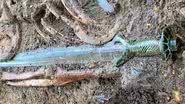 Espada de 3 mil anos encontrada na Alemanha - Reprodução / Dr. Woidich