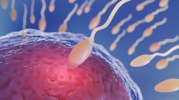 Imagem ilustrativa de espermatozoide fecundando óvulo - Imagem de freepik