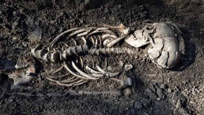 Um dos esqueletos vikings encontrados na Suécia - Divulgação/Uppdrag arkeologi