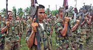 Guerrilheiros da FARC - Divulgação