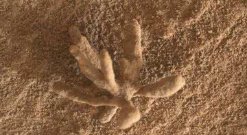 Formação mineral registrada pela sonda Curiosity em Marte - Divulgação/NASA/JPL-Caltech/MSSS (PH)