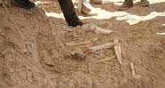 Fóssil encontrado às margens de represa na Turquia - Divulgação - IHA Photo
