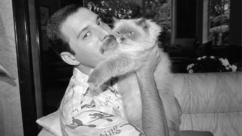 Freddie Mercury com um de seus gatos - Cortesia de Richard Young, via CNN Internacional