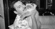 Freddie Mercury com um de seus gatos - Cortesia de Richard Young, via CNN Internacional