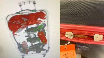 Fotografia do raio-X da mala, e do seu exterior - Divulgação/ TSA