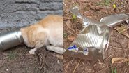 Á esquerda imagem de gato com cabeça em lata e à direita imagem de lata - Divulgação / Corpo de Bombeiros