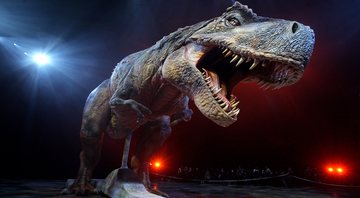 Curiosa reprodução do T-Rex - Getty Images