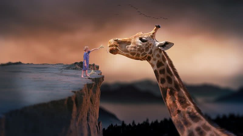 Um menino encontra uma girafa gigante - Imagem de 4144132 por Pixabay