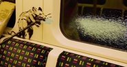 Obra de Bansky, que foi apagada no metrô de Londres - Divulgação/Instagram/Bansky
