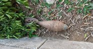 Fotografia registra a granada de morteiro encontrada no jardim - Guarda Civil Metropolitana de Mogi das Cruzes