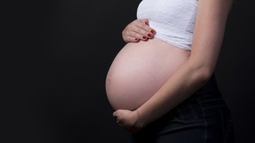 Imagem ilustrativa de mulher grávida - Pixabey/Fotorech