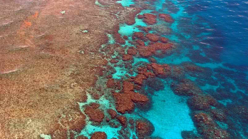 Grande Barreira de Corais da Austrália.