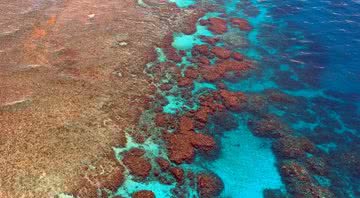 Grande Barreira de Corais da Austrália. - Pixabay