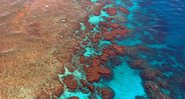 Grande Barreira de Corais da Austrália. - Pixabay