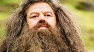 Robbie Coltrane como Hagrid em 'Harry Potter' - Divulgação/ Warner Bros. Pictures
