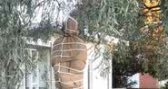 Corpo falso pendurado em árvore na cidade de Forbes, na Austrália - Divulgação/Facebook