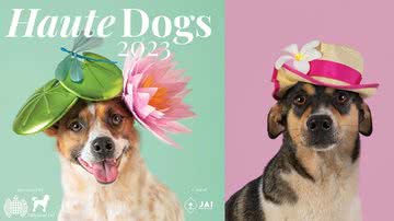 Fotografias do calendário 2023 - Divulgação/ You & The Dog