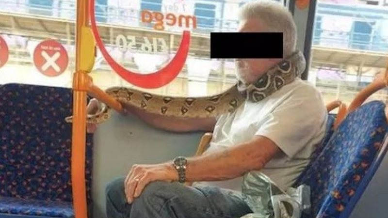Homem com a cobra enrolada no pescoço dentro do ônibus - Divulgação/Twitter