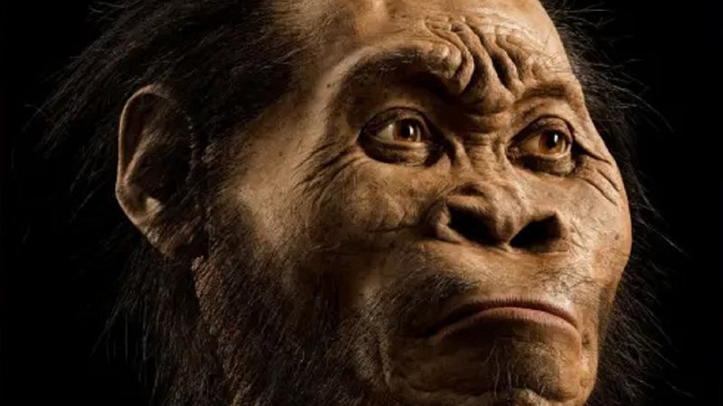 Reconstrução do Homo naledi - Divulgação/Mark Thiessen