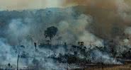 Imagem das queimadas na Amazônia - Divulgação/ Greenpeace/ Victor Moriyama
