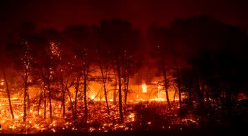 Foto de incêndio na Califórnia - Foto: Divulgação / Twitter