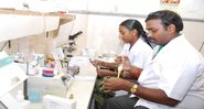 Equipe do Andhra Hospital investiga doença misteriosa - Divulgação - Andhra Hospitals