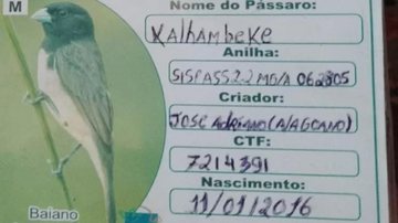 Informações do passarinho comprado pela vítima - Divulgação/Polícia Civil do Espírito Santo