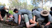 Funcionários do zoológico contendo o jacaré - Divulgação/Youtube/Australian Reptile Park