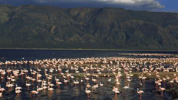 Lago Natron, na Tanzânia - Reprodução Nasa, via Wikimedia Commons