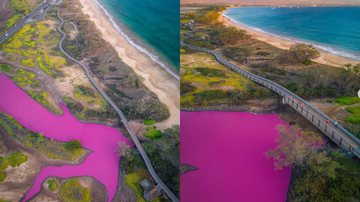 Imagem do lago rosa no Havaí - Reprodução/Instagram/@traviskeahi_photos