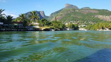 Lagoa da Tijuca, no Rio de Janeiro - Reprodução / Redes Sociais