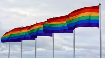Fotografia mostrando bandeiras simbólicas do orgulho LGBT - Divulgação/ Pixabay
