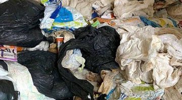 Lixo acumulado na residência de Sylvie - Divulgação/Community Bees