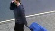 Imagem da mulher capturada por câmera de segurança - Divulgação / Polícia de Londres