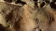 Gravuras rupestres neandertais encontradas em caverna na França - Divulgação