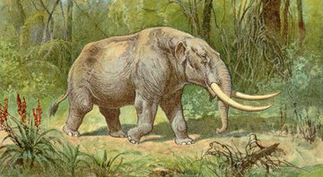 Ilustração de um mastodonte - Wikimedia Commons