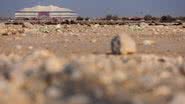 Deserto no Qatar - Getty Images