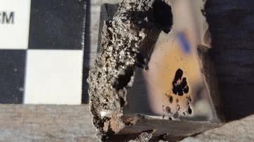 Pedaço do meteorito El Ali analisado pelos pesquisadores da Universidade de Alberta - Divulgação/Universidade de Alberta