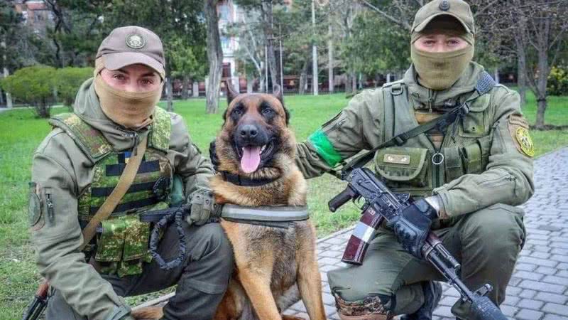 O cachorro militar Max ao lado de soldados ucranianos - Divulgação/Twitter/@ng_ukraine
