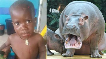 Montagem mostrando o menino atacado e uma imagem ilustrativa de um hipopótamo - Divulgação/ Redes Sociais e Divulgação/ Pixabay