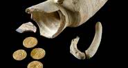 As moedas descobertas em Jerusalém - Divulgação  - Afna Gazit/IAA