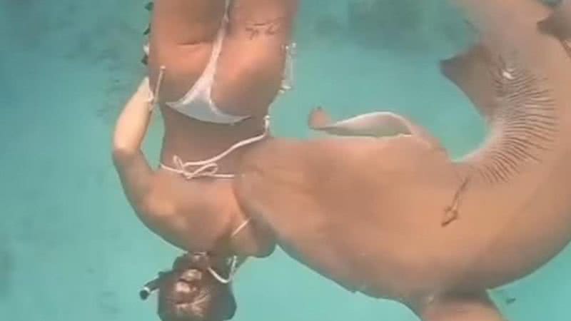O momento exato em que a mulher é mordida pelo tubarão, flagrado por Ibrahim Shafeeg - Reprodução/Vídeo/Instagram/@the_sharkguy