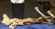Imagem do gato mumificado - Divulgação / Hansons Auctioneers 'Library Auction