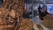 Múmias devolvidas ao Peru - Divulgação / Youtube / Vatican News