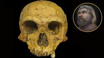 Crânio de neandertal que foi reconstruído - Divulgação