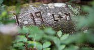 Um dos símbolos encontrado na floresta - Divulgação/New Forest National Park Authority
